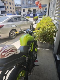 Benelli TNT 300 / BN 302S - ფოტო 1