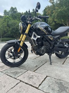 Voge 350AC 320 cc - ფოტო 6