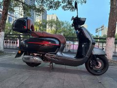 Weiduoliya Sixties 150i - ფოტო 2