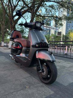 Weiduoliya Sixties 150i - ფოტო 4