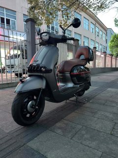 Weiduoliya Sixties 150i - ფოტო 5