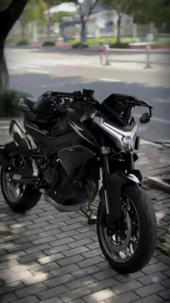 CFMOTO 800NK - ფოტო 1