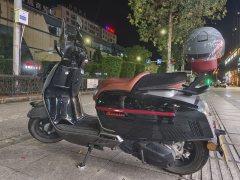 Weiduoliya Sixties 150Si - фото 3