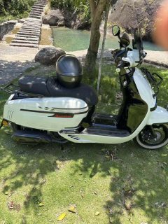 Weiduoliya Sixties 150i - ფოტო 2