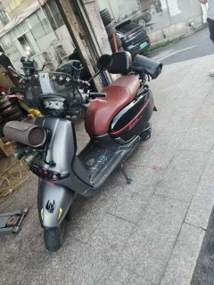 Weiduoliya Sixties 150Si - ფოტო 2