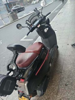 Weiduoliya Sixties 150Si - ფოტო 4