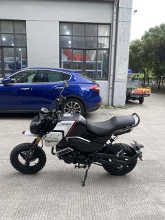CFMOTO Papio XO-1 125 cc - ფოტო 3