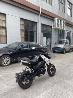 CFMOTO Papio XO-1 125 cc - ფოტო 6
