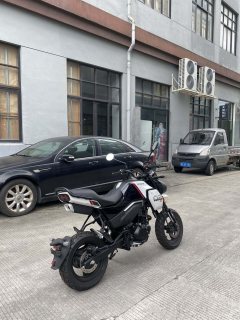 CFMOTO Papio XO-1 125 cc - ფოტო 6