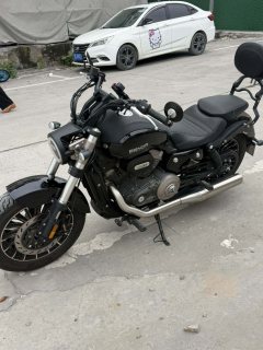 Benda Polestones 03 Gray 300 cc - photo 3