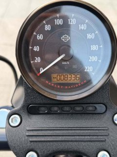 Harley-Davidson Iron883 Tough Guy - ფოტო 10