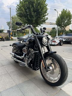 Harley-Davidson Fat Boy 1860 cc - ფოტო 10