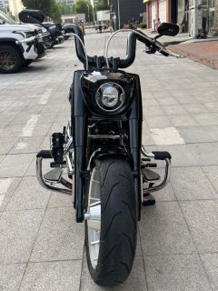 Harley-Davidson Fat Boy 1860 cc - ფოტო 7