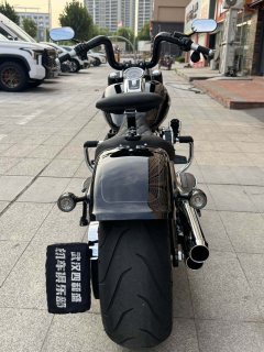 Harley-Davidson Fat Boy 1860 cc - ფოტო 8