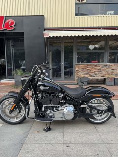 Harley-Davidson Fat Boy 1860 cc - ფოტო 9