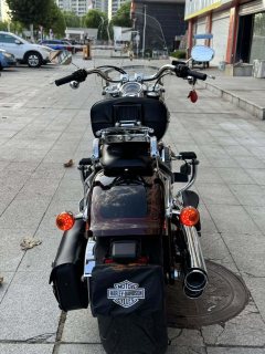 Harley-Davidson Fat Boy 1860 cc - ფოტო 10