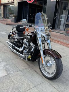 Harley-Davidson Fat Boy 1860 cc - ფოტო 12