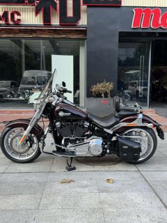 Harley-Davidson Fat Boy 1860 cc - ფოტო 6