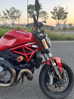 Ducati Monster 821 - фото 10
