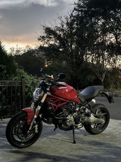 Ducati Monster 821 - фото 4