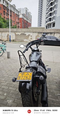 Indian Scout 1133 cc - ფოტო 5