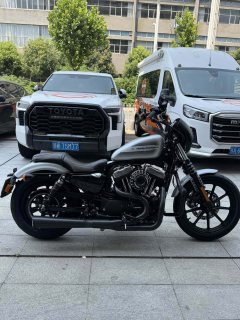Harley-Davidson lron 1200 - ფოტო 10