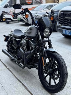 Harley-Davidson lron 1200 - ფოტო 6