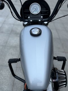Harley-Davidson lron 1200 - ფოტო 8