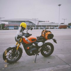 Triumph Scrambler 400 X - ფოტო 1