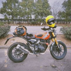 Triumph Scrambler 400 X - ფოტო 2