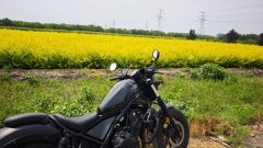 Honda CM500 (Imported) - ფოტო 1