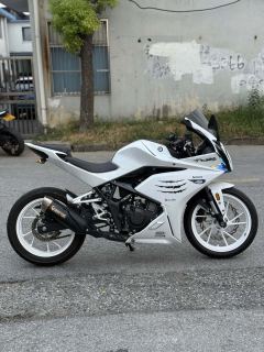 Kayo 250RR Thornbird - ფოტო 1