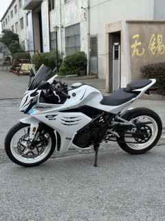 Kayo 250RR Thornbird - ფოტო 2