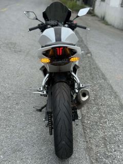 Kayo 250RR Thornbird - ფოტო 4