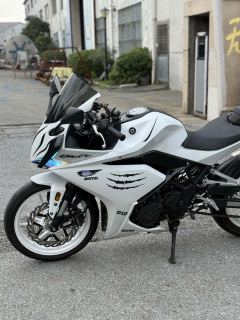 Kayo 250RR Thornbird - ფოტო 7