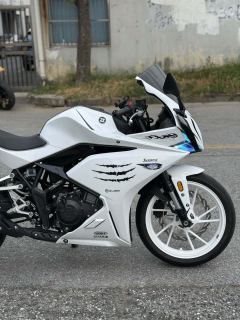 Kayo 250RR Thornbird - ფოტო 8