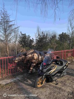 KYMCO Rowing S350 - ფოტო 1