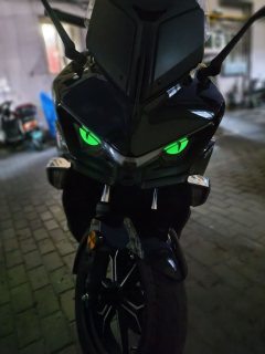 QJMOTOR Hong 350 - фото 1