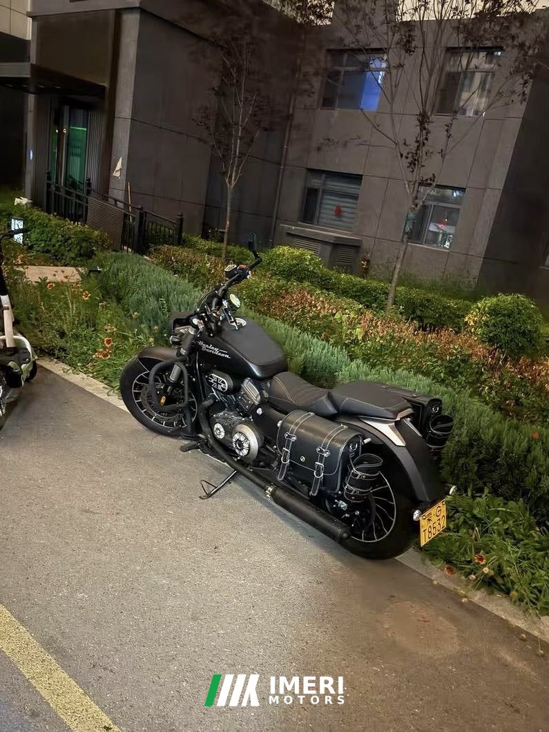 2022 Benda Polestones 03 Gray 300 cc