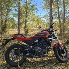 Harley-Davidson X 350 - ფოტო 1
