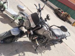 Benelli Leoncino 250 - ფოტო 2