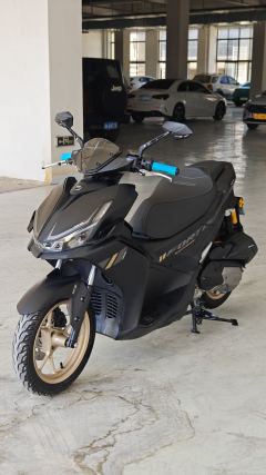 QJMOTOR Hong 150S - photo 3
