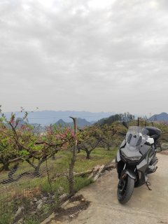 BMW C 400 350 cc - ფოტო 9