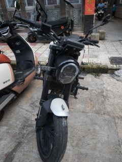 Benelli Leoncino 250 - photo 3