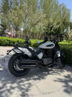 Benda Chinchilla 350 - photo 2