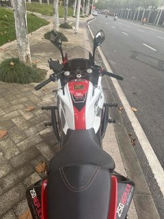 QJMOTOR SRK 250 - ფოტო 5