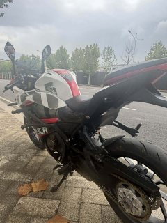 QJMOTOR SRK 250 - ფოტო 6