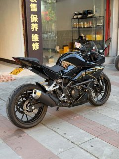 Kayo 250RR Thornbird - photo 2