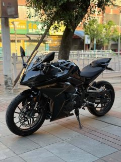 Kayo 250RR Thornbird - photo 3