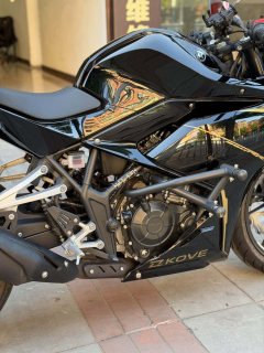 Kayo 250RR Thornbird - photo 4